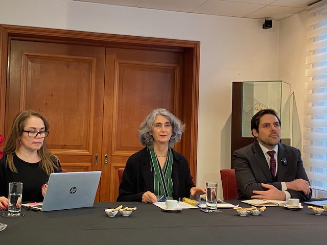 Presidenta del CNTV y PRAI, Eliana Rozas, participa en coloquio sobre protección de la niñez en entornos digitales